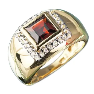 Apollo Men's Garnet Ring