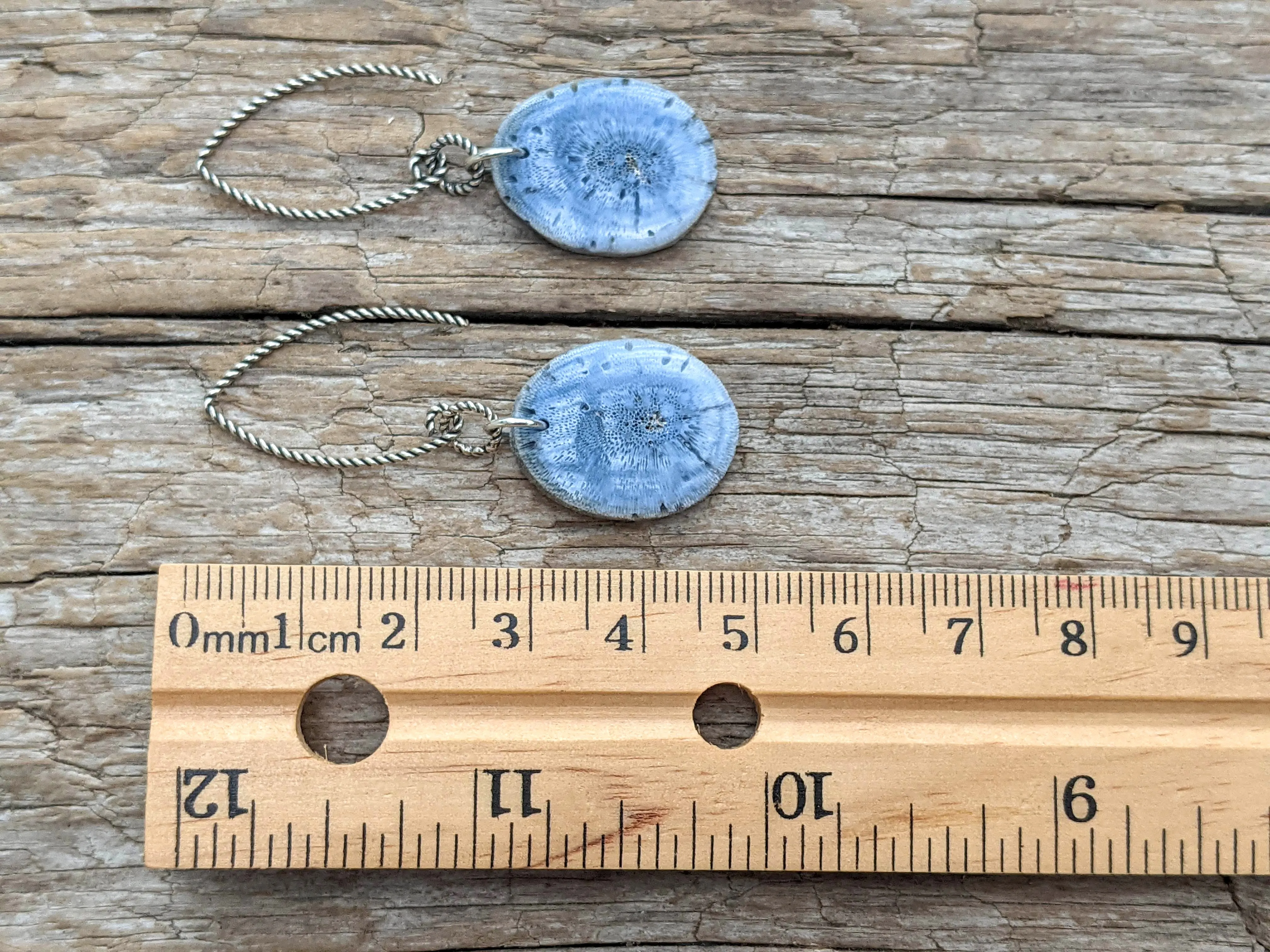 Blue Fossil Coral Earrings