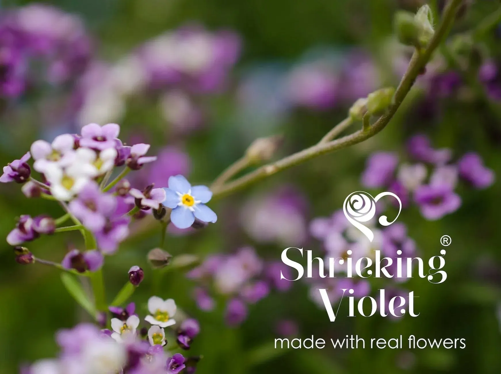 Sterling silver adjustable ring handmade with Purple Verbenas and Forget-me-not flowers