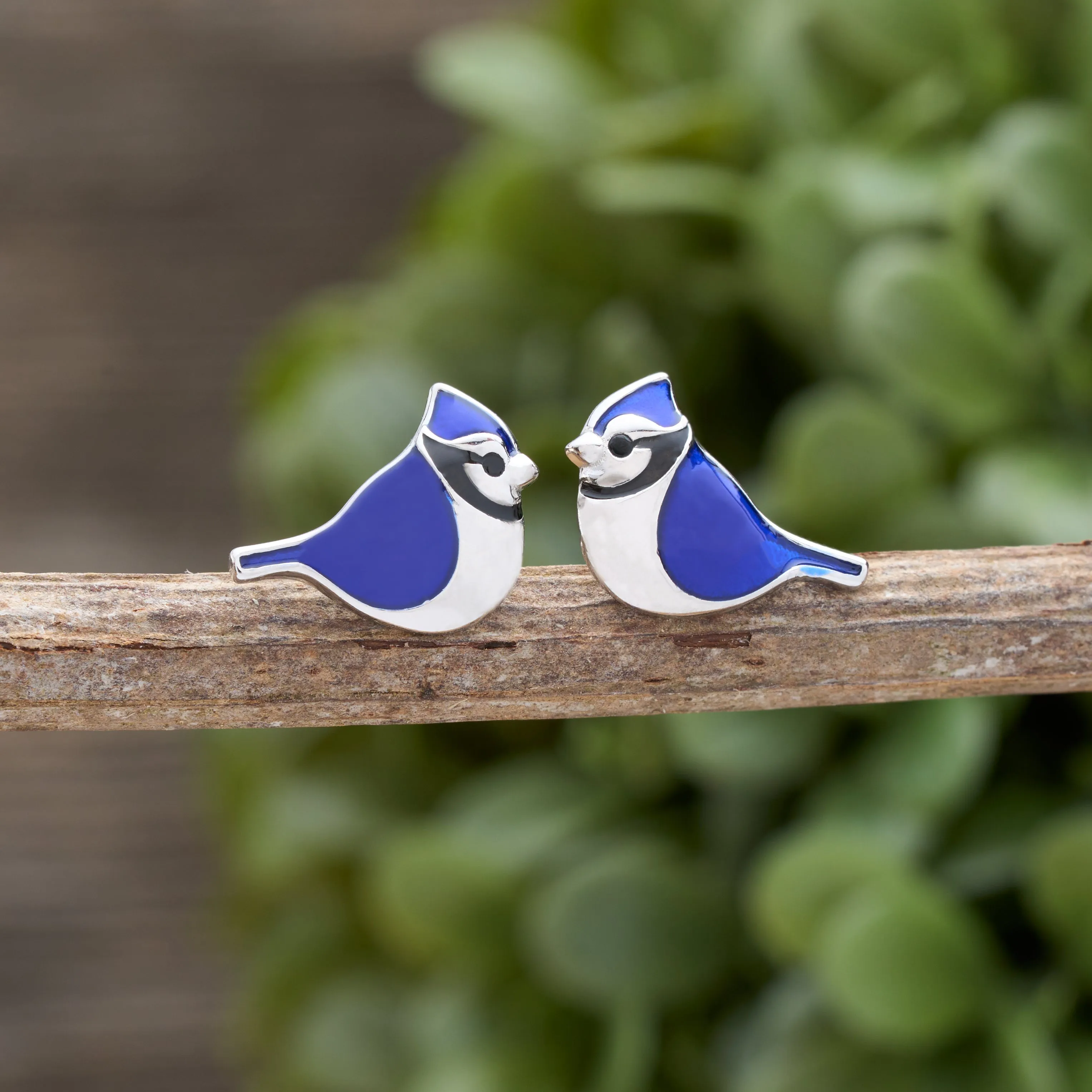 Sterling Silver Blue Jay Studs