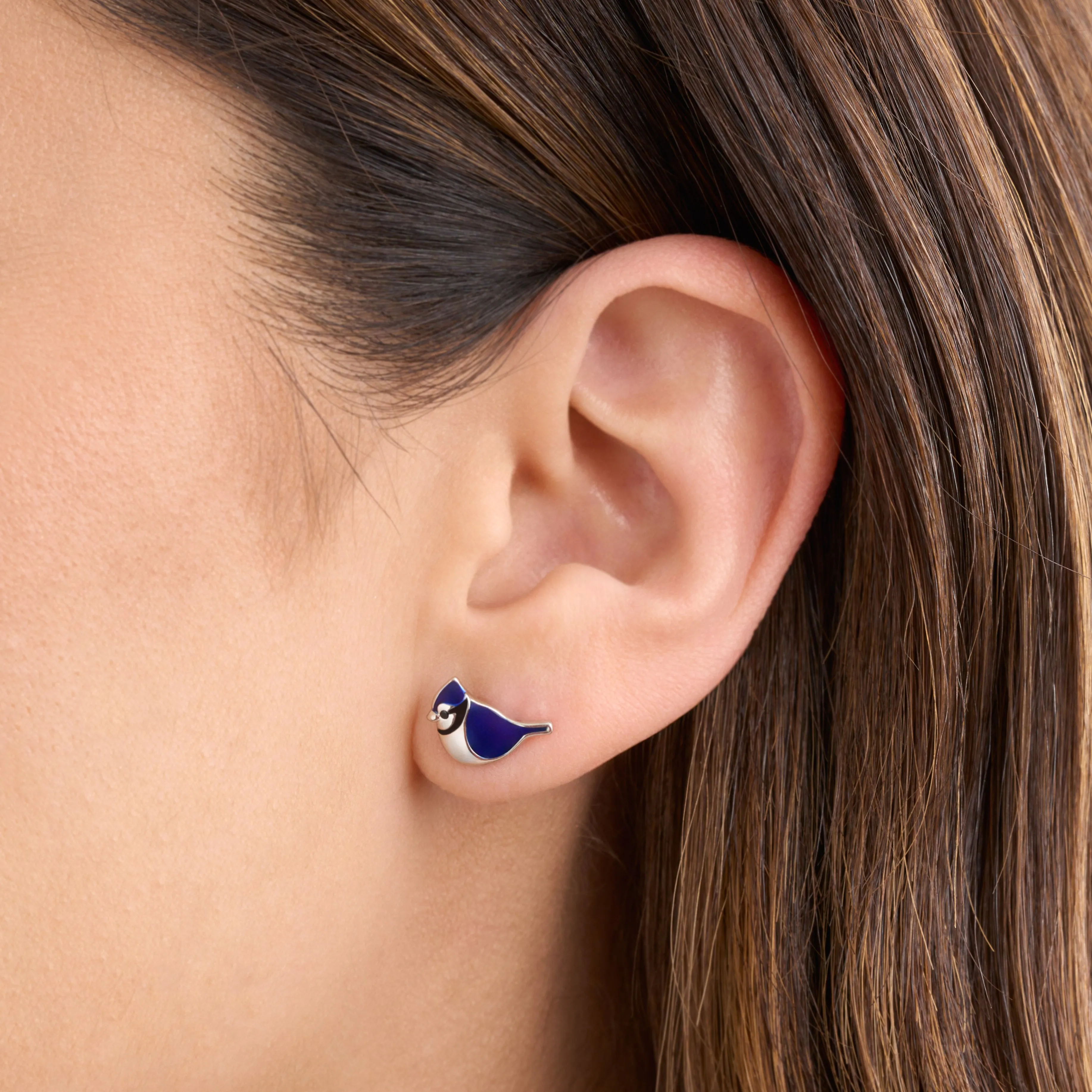 Sterling Silver Blue Jay Studs