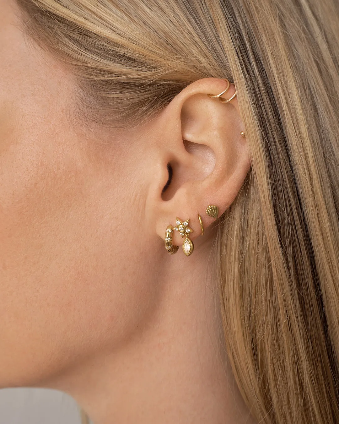 The Sea Shell Studs